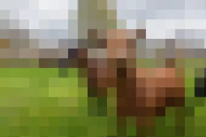 Maandagsewetering 192 Noordwijkerhout thumbnail 62