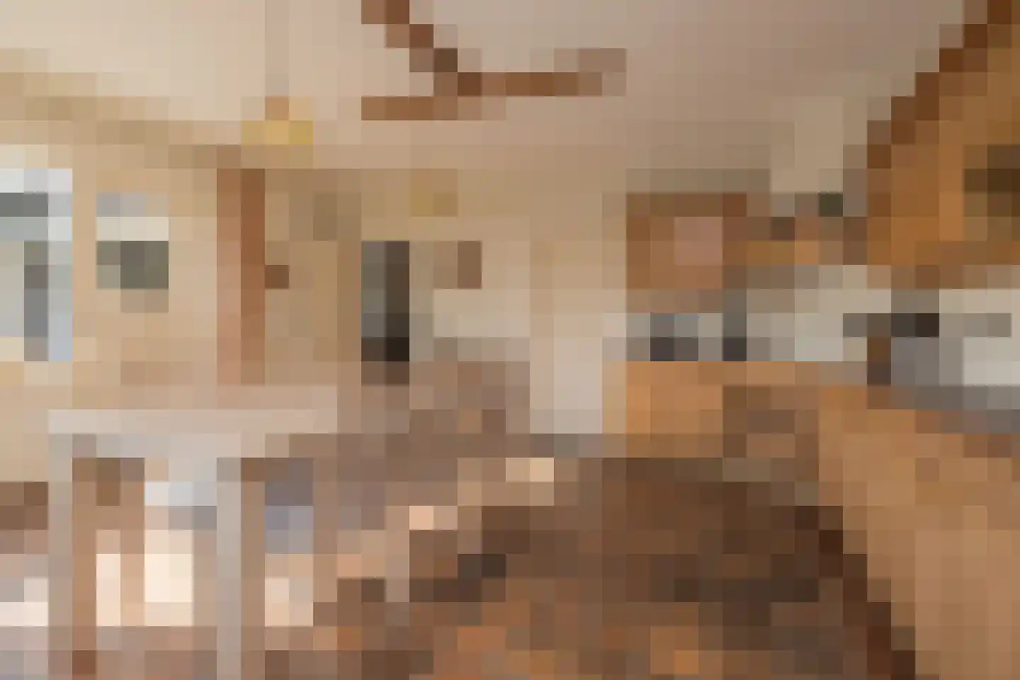 Maandagsewetering 196 Noordwijkerhout thumbnail 22