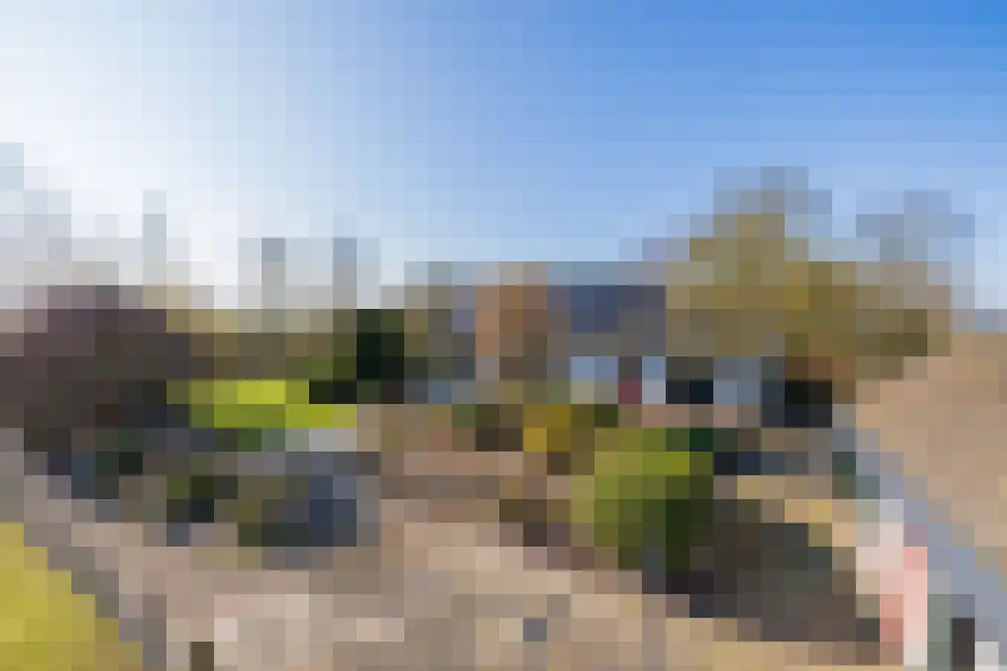 Maandagsewetering 196 Noordwijkerhout thumbnail 37