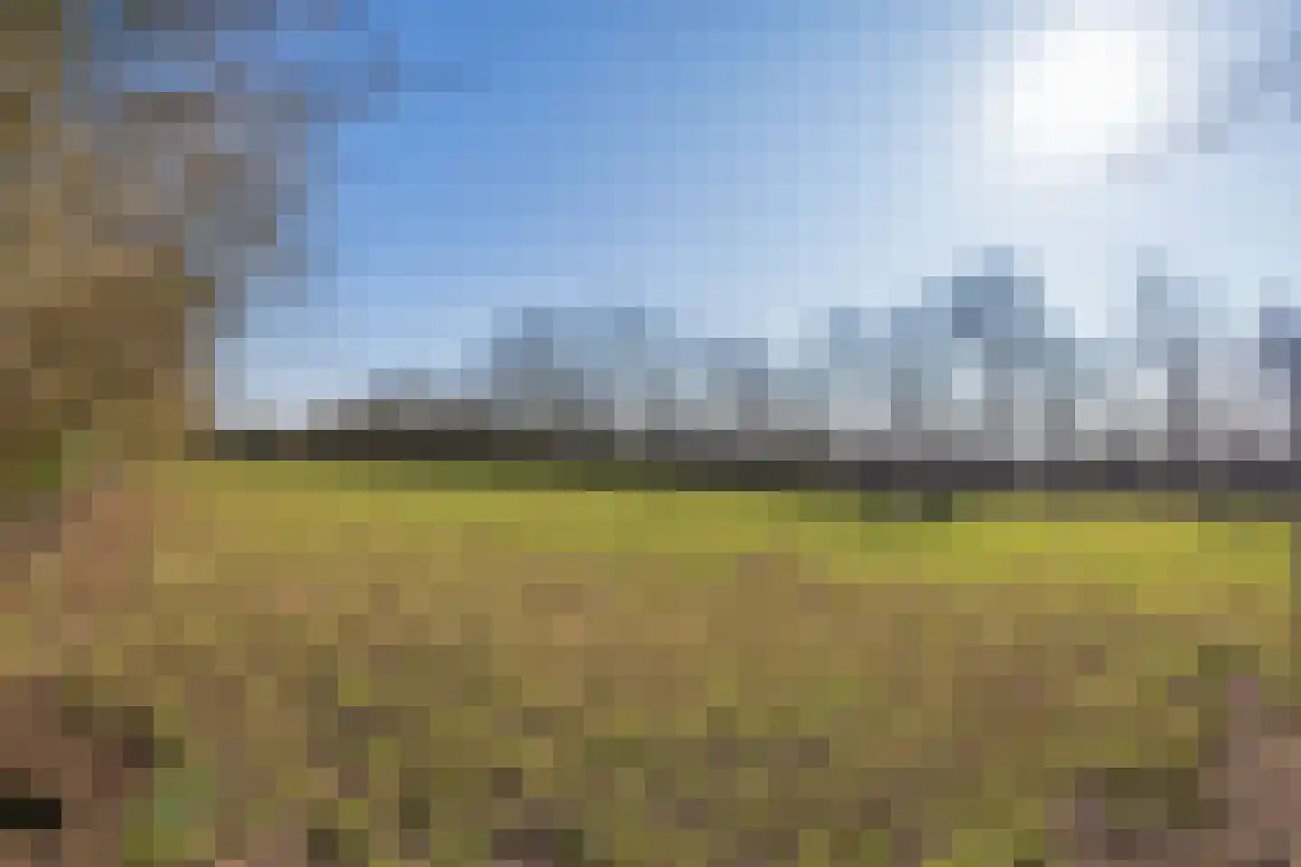 Maandagsewetering 196 Noordwijkerhout thumbnail 39