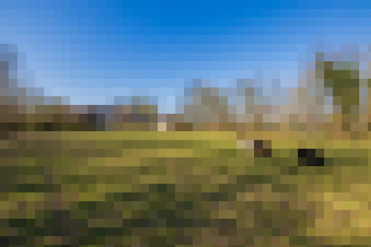Maandagsewetering 196 Noordwijkerhout thumbnail 5