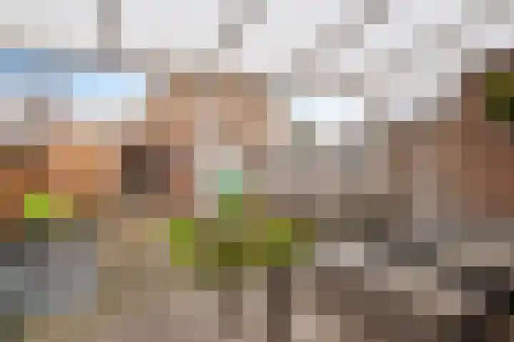 Maandagsewetering 3 Noordwijkerhout thumbnail 8