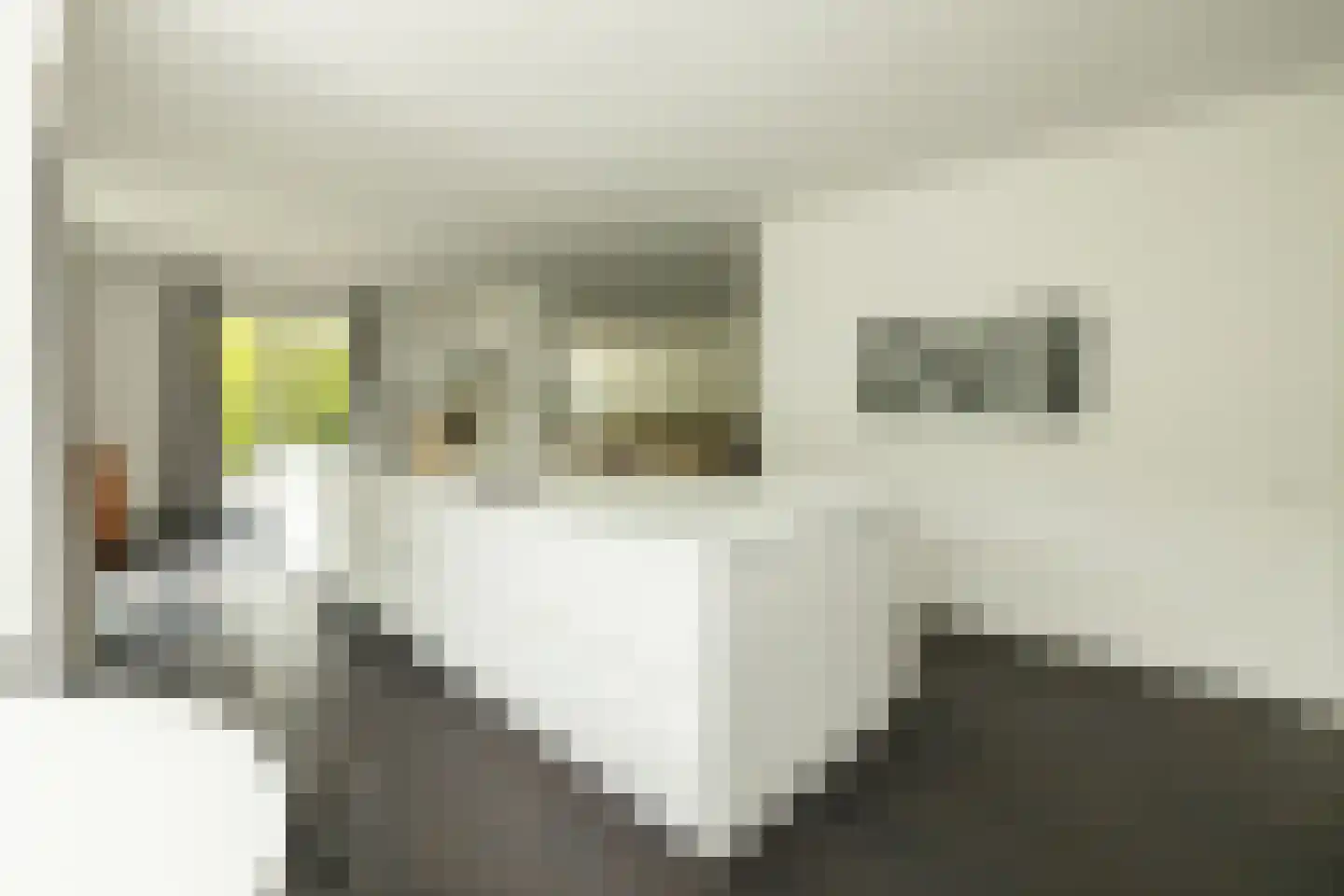 Maandagsewetering 60 Noordwijkerhout thumbnail 10