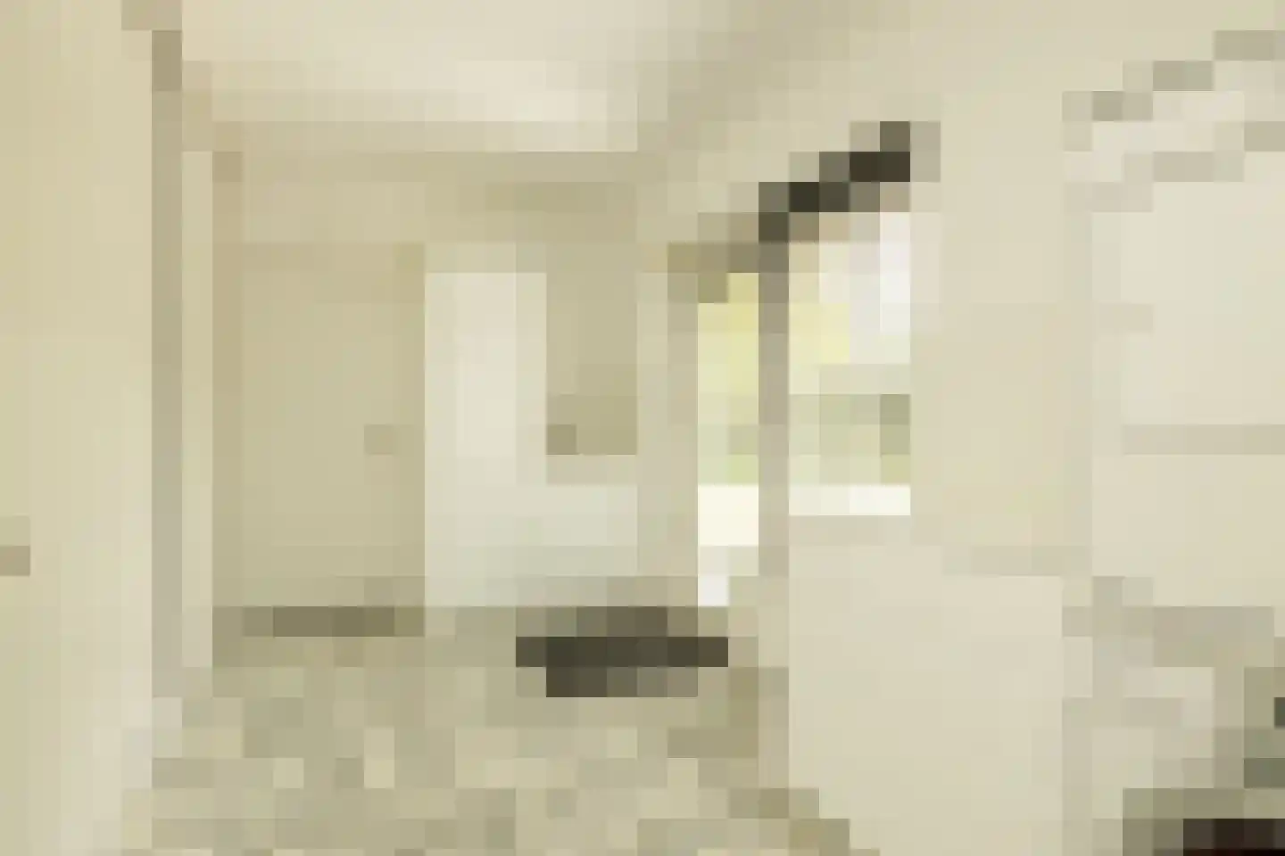 Maandagsewetering 60 Noordwijkerhout thumbnail 12