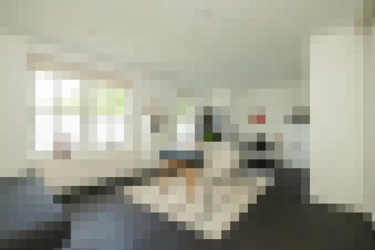 Maandagsewetering 60 Noordwijkerhout thumbnail 14