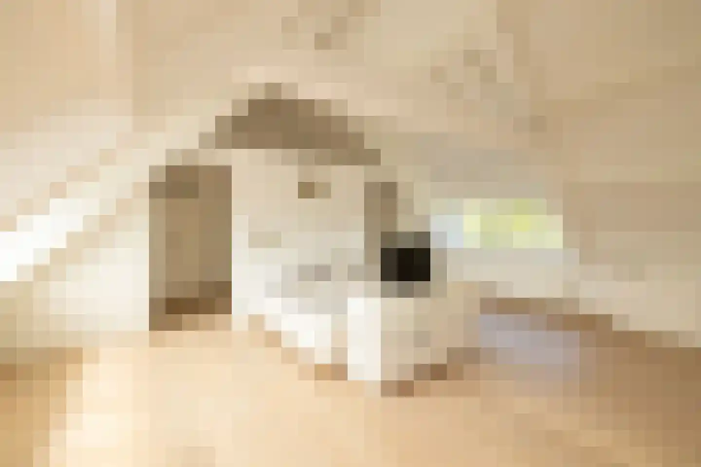 Maandagsewetering 60 Noordwijkerhout thumbnail 26
