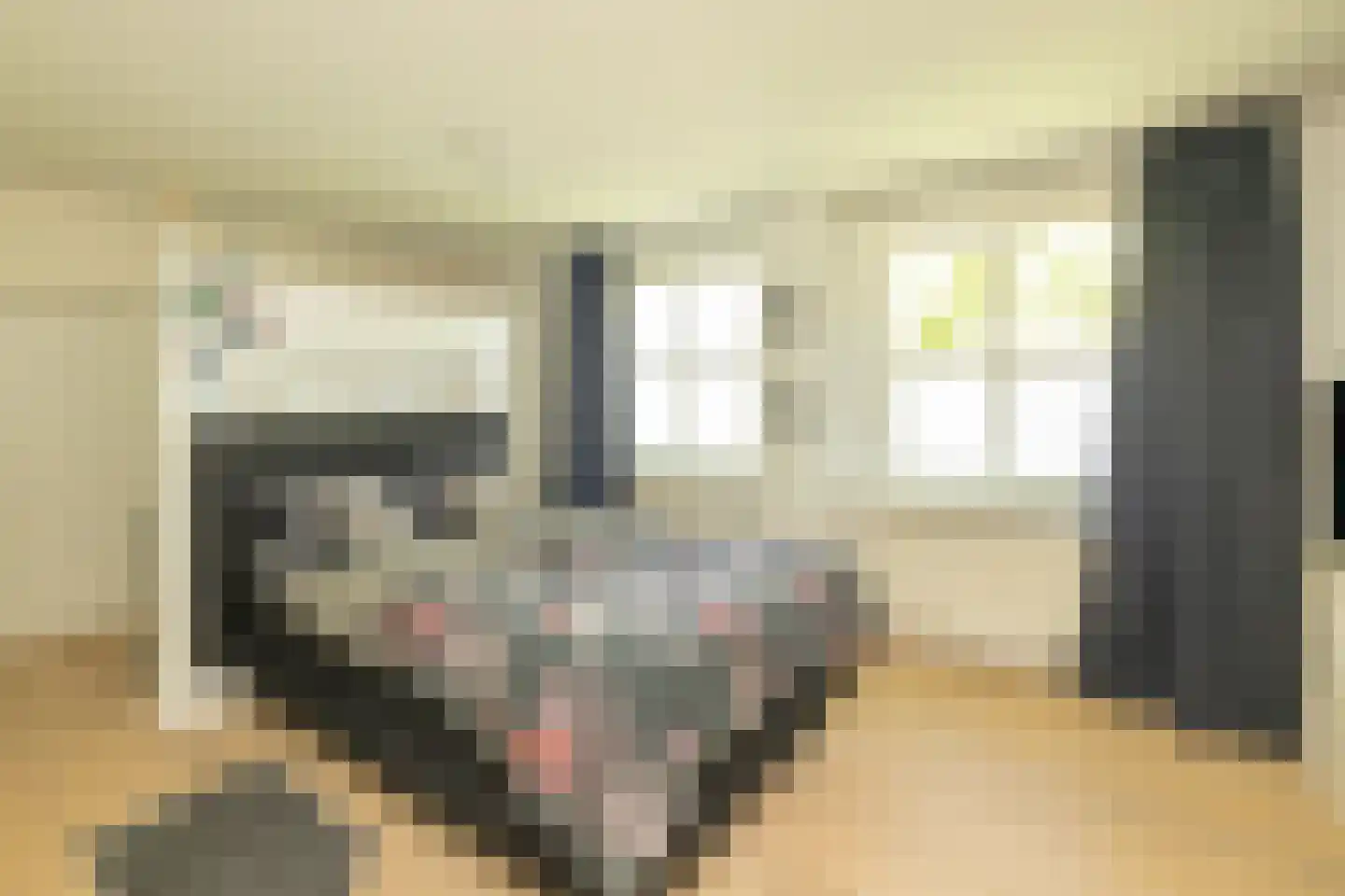 Maandagsewetering 60 Noordwijkerhout thumbnail 32