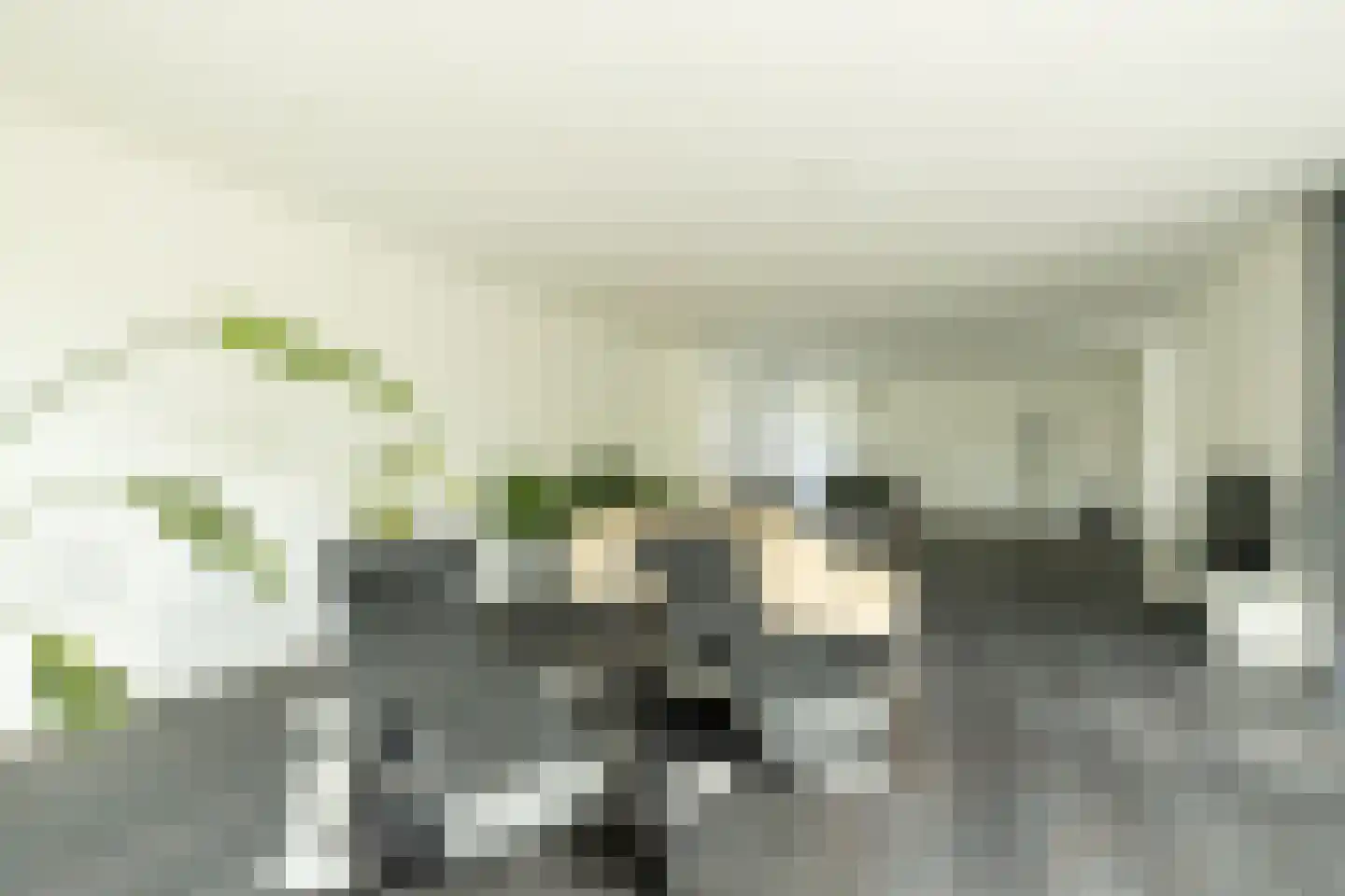 Maandagsewetering 60 Noordwijkerhout thumbnail 4