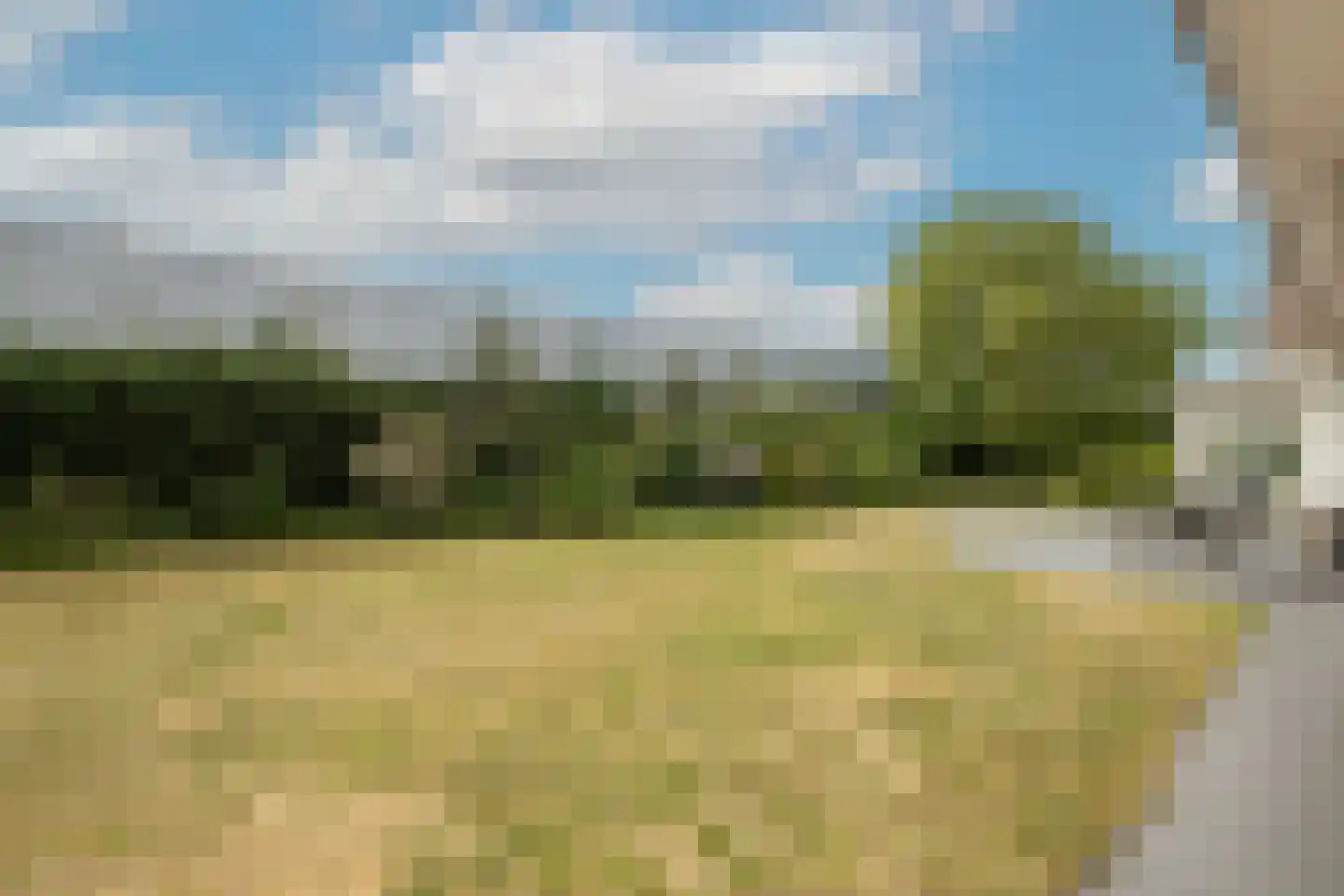 Maandagsewetering 60 Noordwijkerhout thumbnail 42