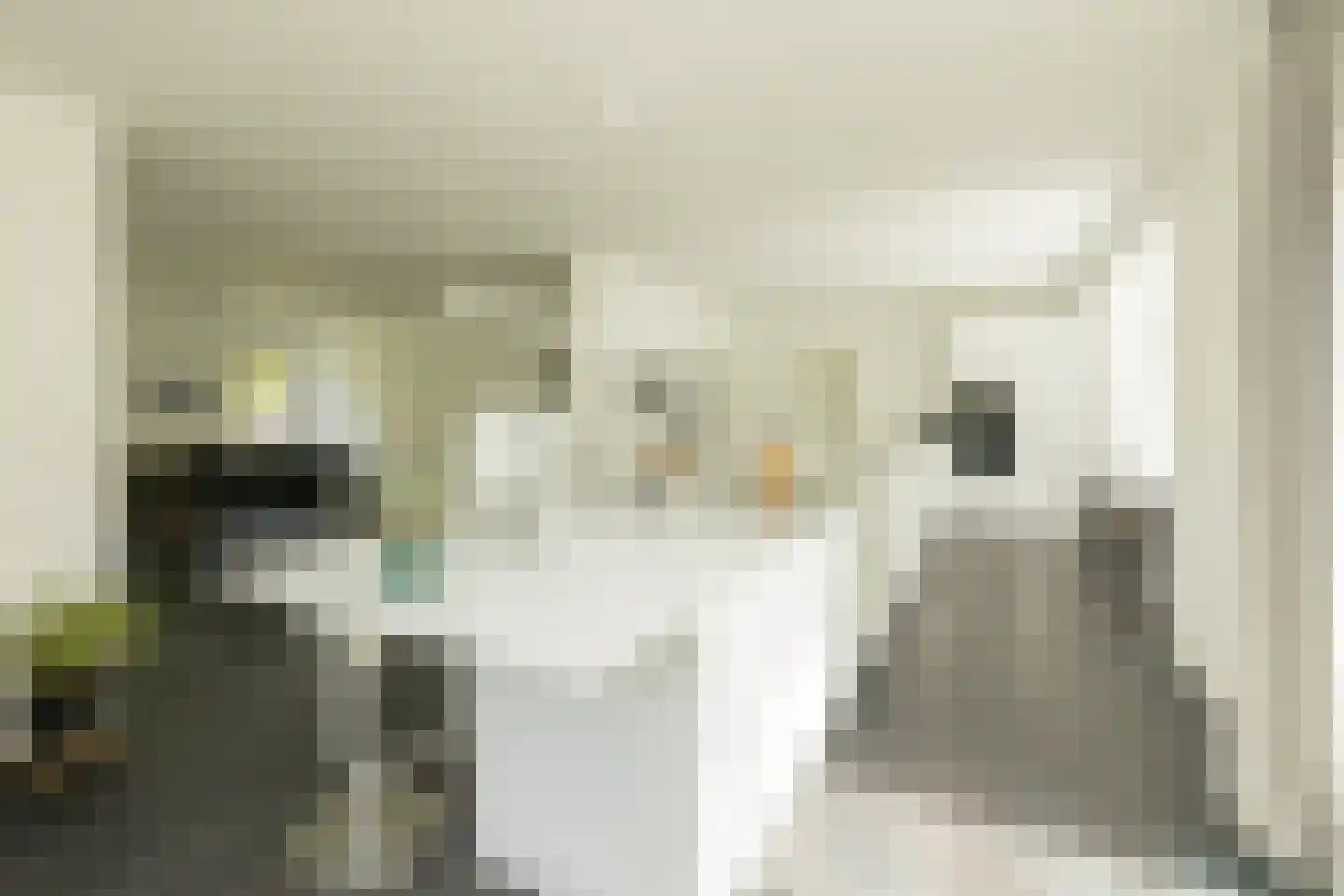 Maandagsewetering 60 Noordwijkerhout thumbnail 6