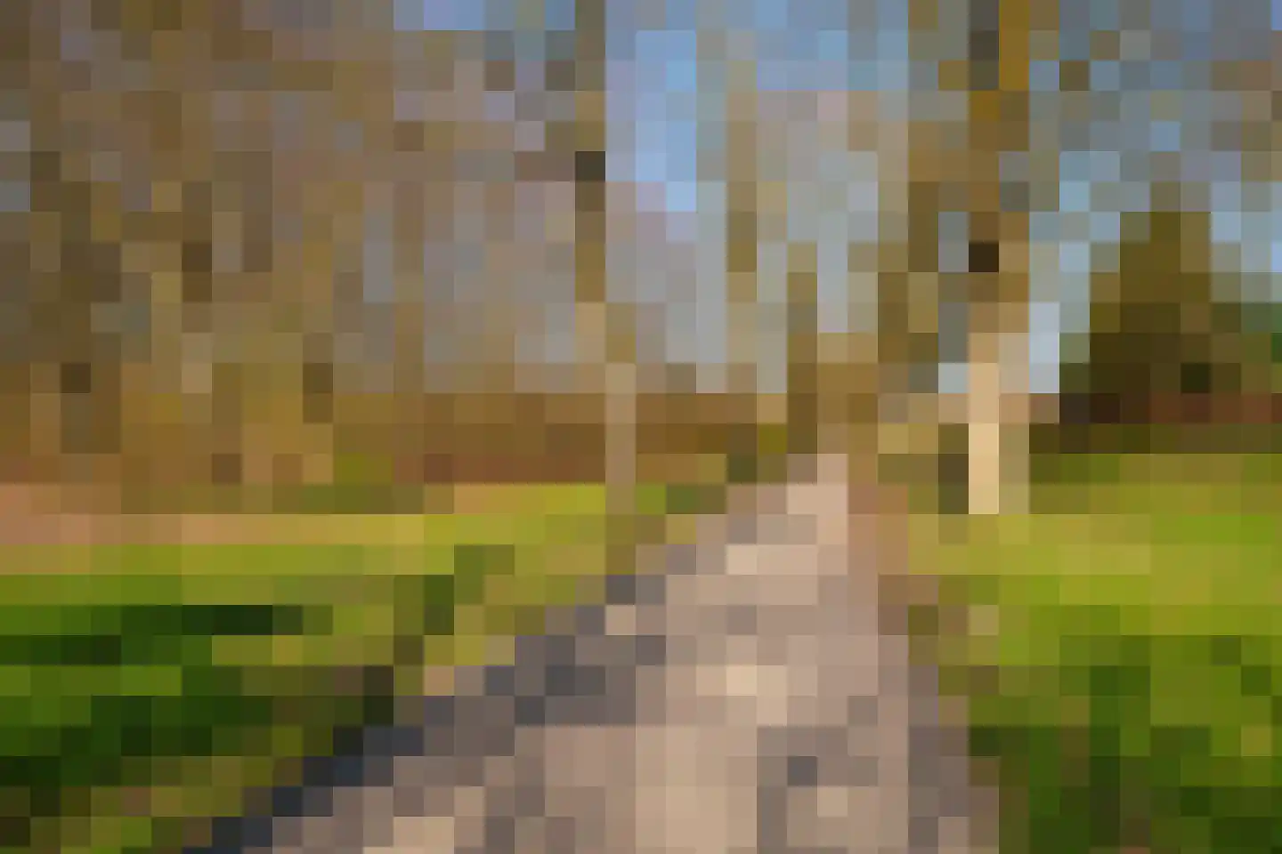Maandagstraat 44 Almere thumbnail 52