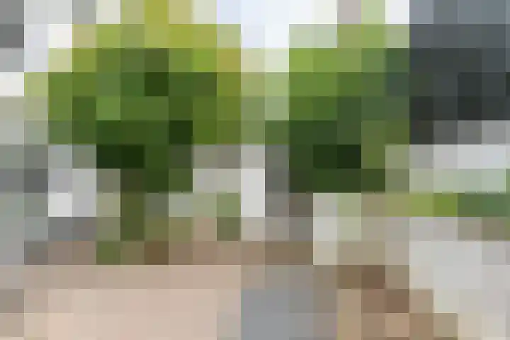 Maandagstraat 8 Heerlen thumbnail 18