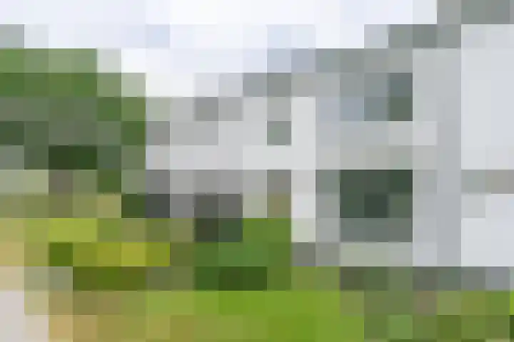 Maandagstraat 8 Heerlen thumbnail 23