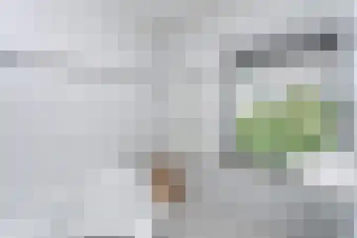 Maandagstraat 8 Heerlen thumbnail 9