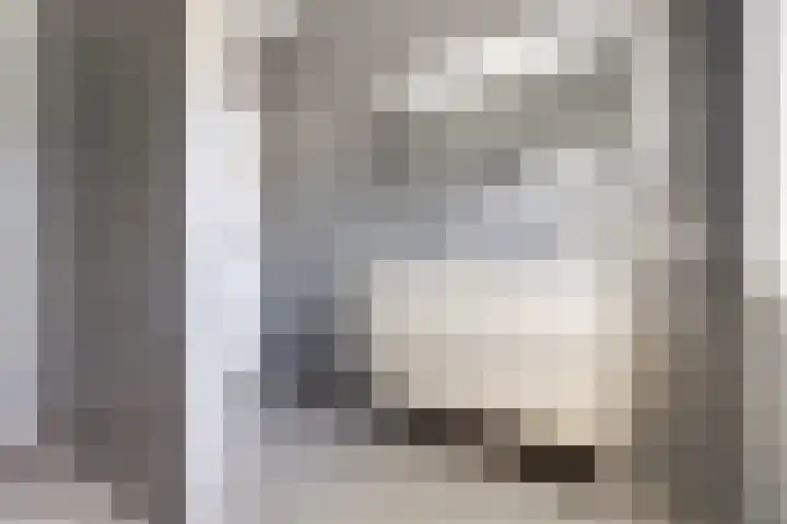 Maanderbuurtweg 41 Ede thumbnail 16