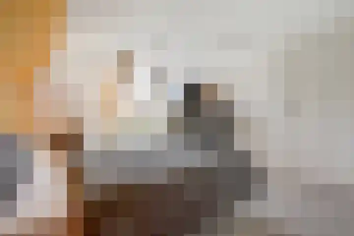 Maanderbuurtweg 41 Ede thumbnail 26