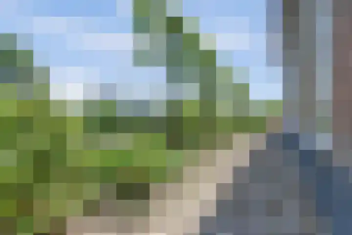 Maanderbuurtweg 41 Ede thumbnail 40