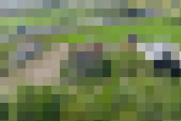 Maanderbuurtweg 41 Ede thumbnail 46