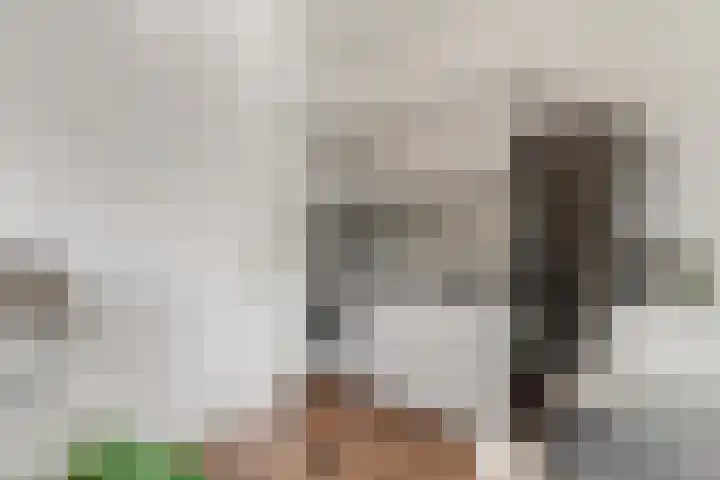 Maandereind 10 F Ede thumbnail 11