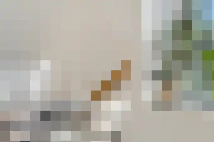 Maandereind 10 F Ede thumbnail 9