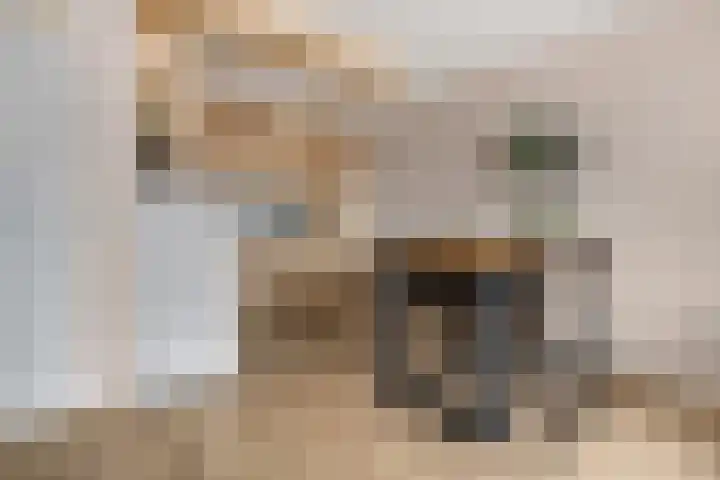 Maandereind 10 J Ede thumbnail 8