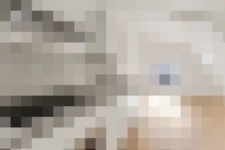 Maandereind 40 A Ede thumbnail 8