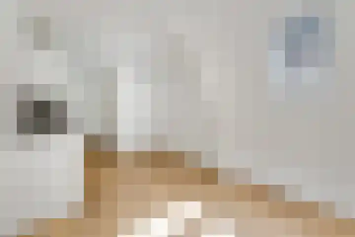 Maandereind 40 B Ede thumbnail 6