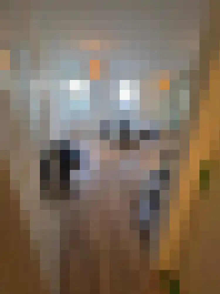 Maandereind 79 Ede thumbnail 4