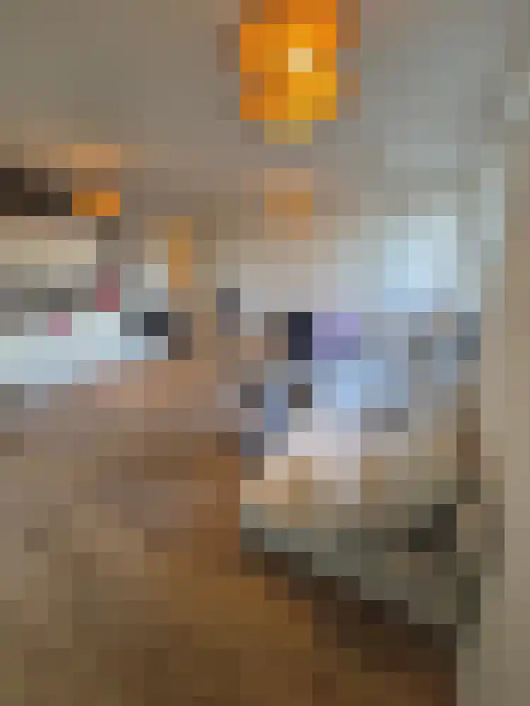 Maandereind 79 Ede thumbnail 6