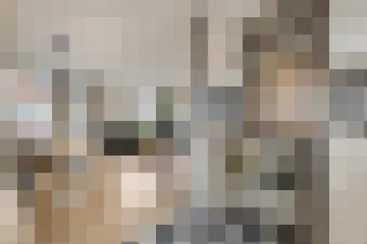 Maanderweg 20 Ede thumbnail 10