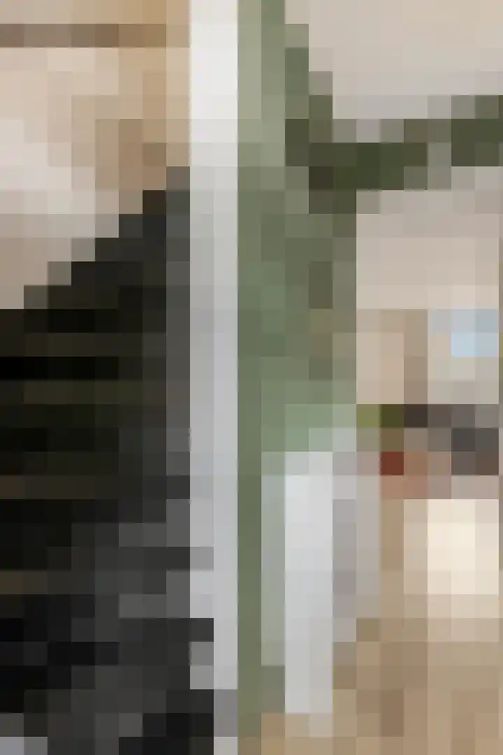 Maanderweg 20 Ede thumbnail 16