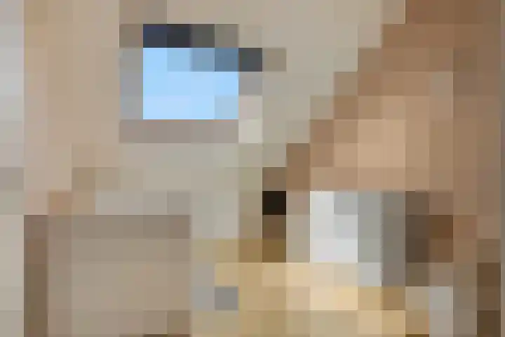Maanderweg 20 Ede thumbnail 19