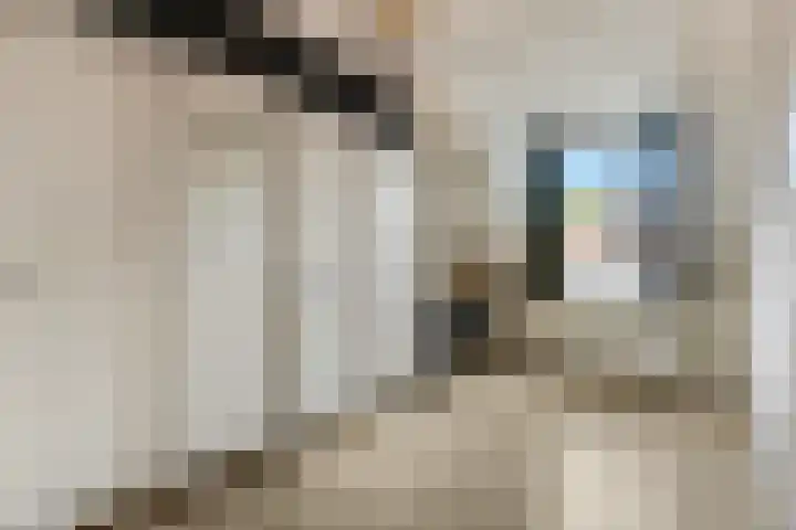 Maanderweg 20 Ede thumbnail 21