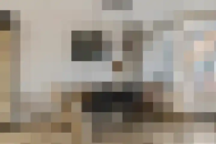Maanderweg 20 Ede thumbnail 7