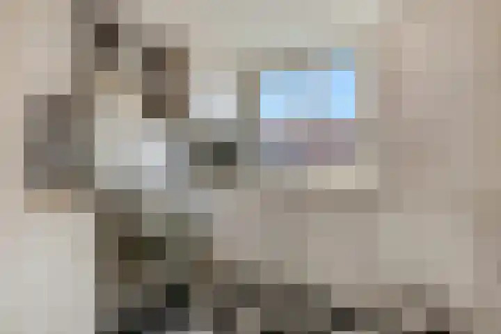 Maanderweg 20 Ede thumbnail 9