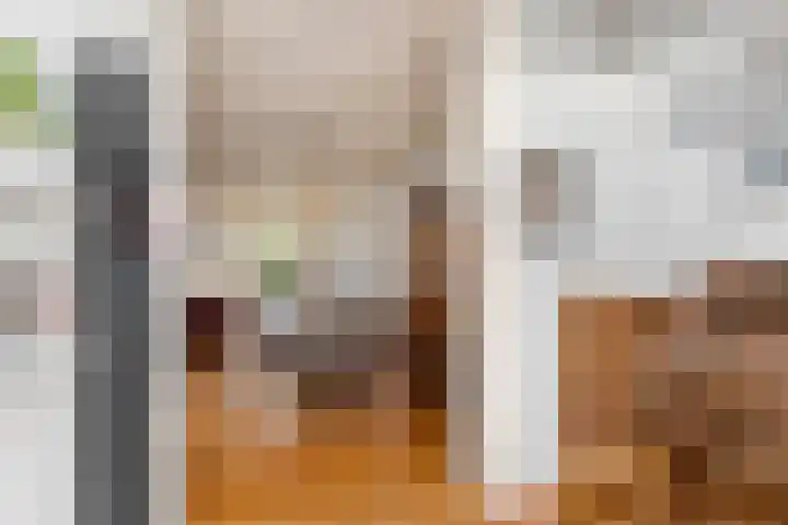 Maanderweg 25 Ede thumbnail 12