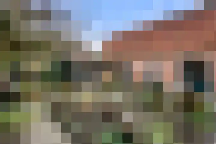 Maanderweg 25 Ede thumbnail 30