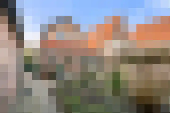 Maanderweg 25 Ede thumbnail 31