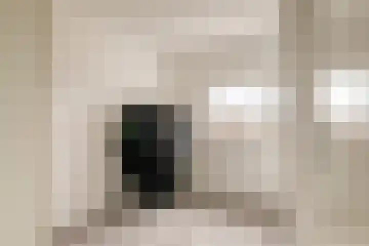 Maanglans 10 Amersfoort thumbnail 26