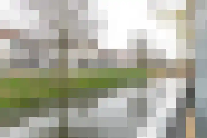 Maanglans 30 Amersfoort thumbnail 16