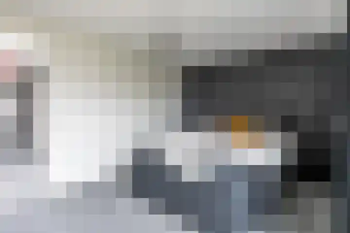 Maanglans 30 Amersfoort thumbnail 34