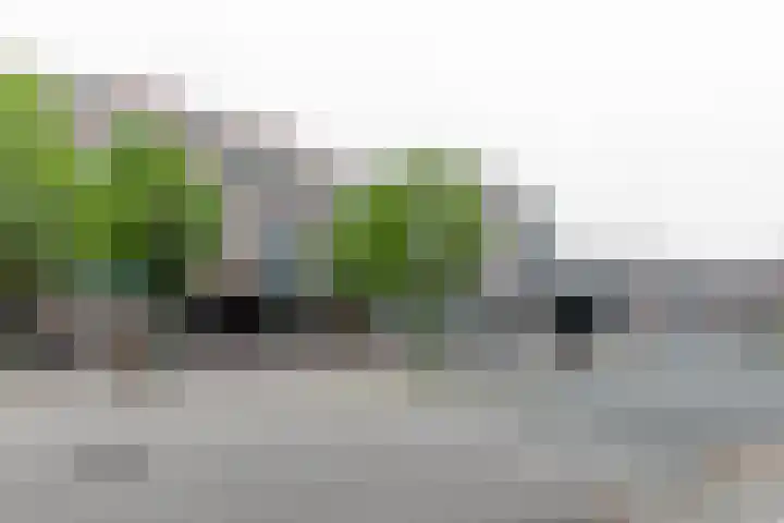 Maanglans 30 Amersfoort thumbnail 45