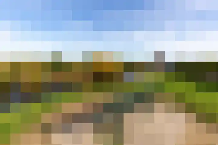 Maanglans 30 Amersfoort thumbnail 50