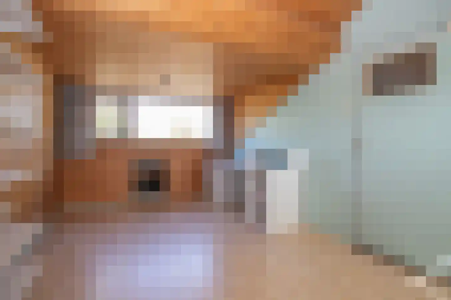 Maanhof 16 Maarn thumbnail 30