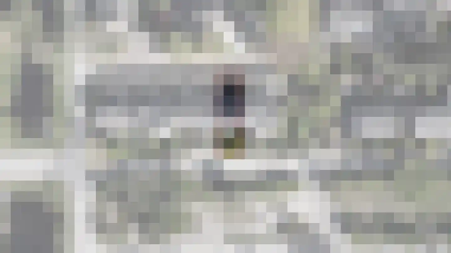 Maanhof 16 Maarn thumbnail 4