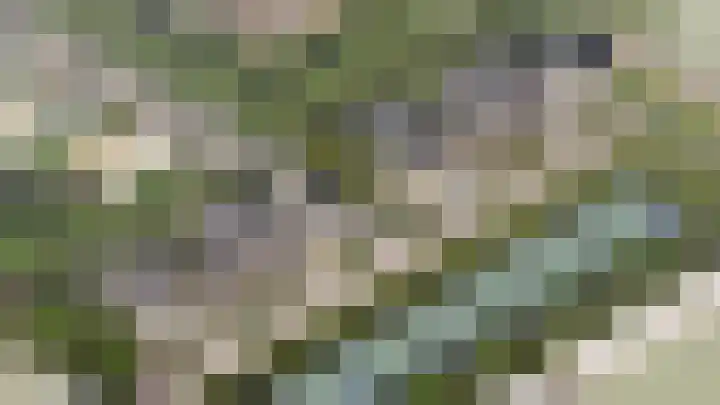 Maanhof 3 Oude-Tonge thumbnail 4