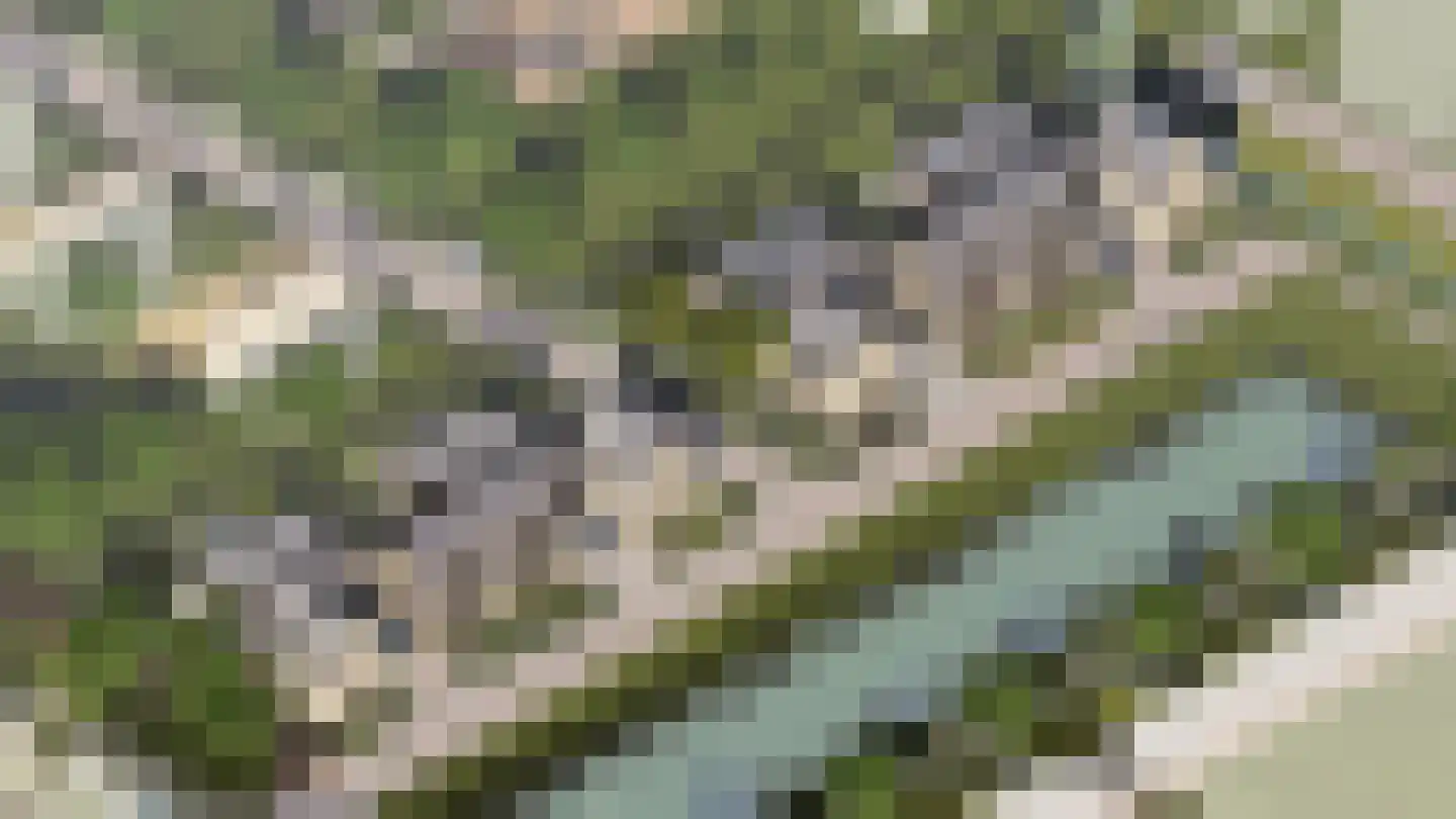 Maanhof 4 Oude-Tonge thumbnail 5