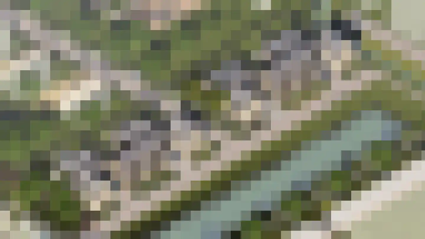 Maanhof 7 Oude-Tonge thumbnail 5