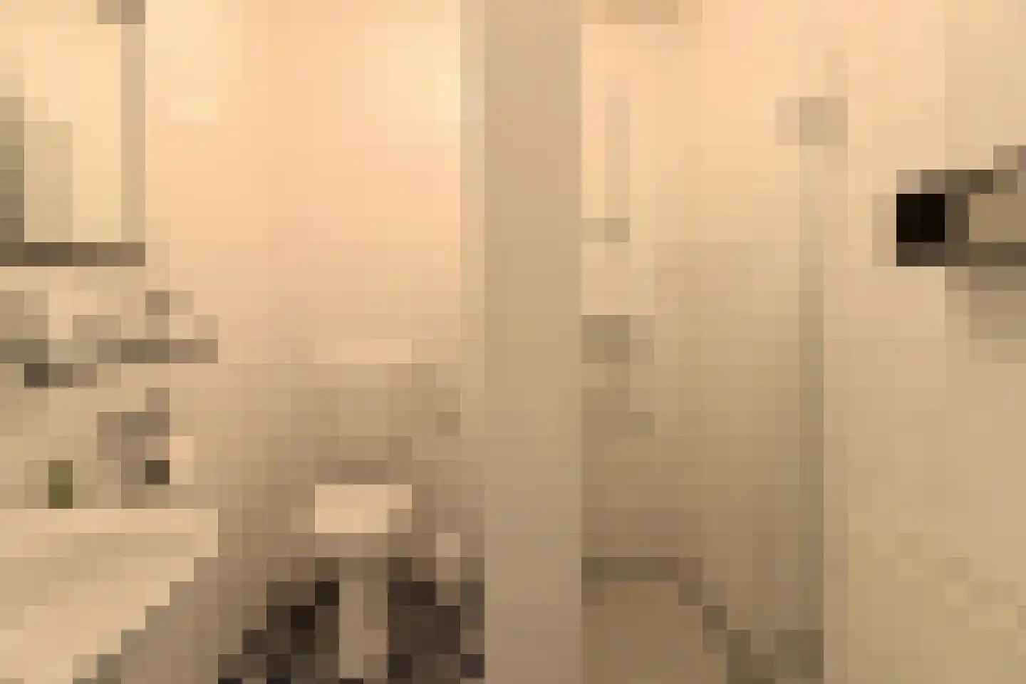 Maanhuizenlaan 7 Marknesse thumbnail 17