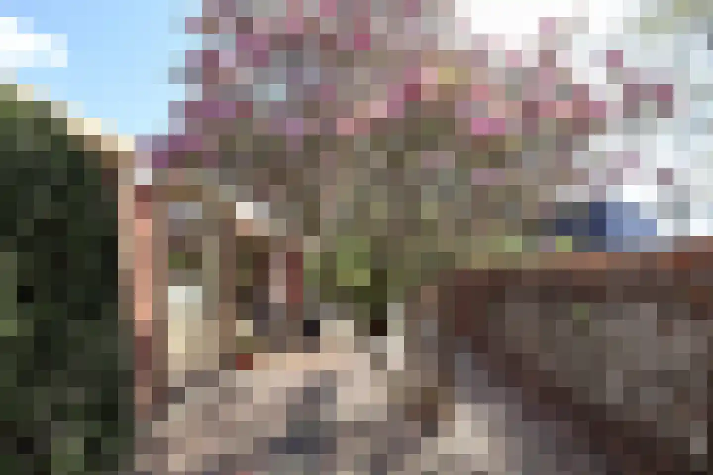 Maanhuizenlaan 7 Marknesse thumbnail 26